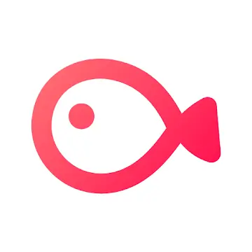 Vllo Easy Video App VIP Wuazer